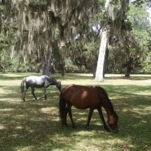 two wild horses cumberland
