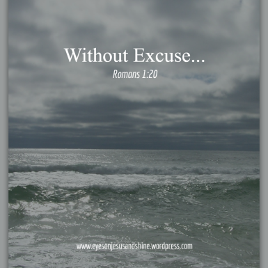 ocean without excuse